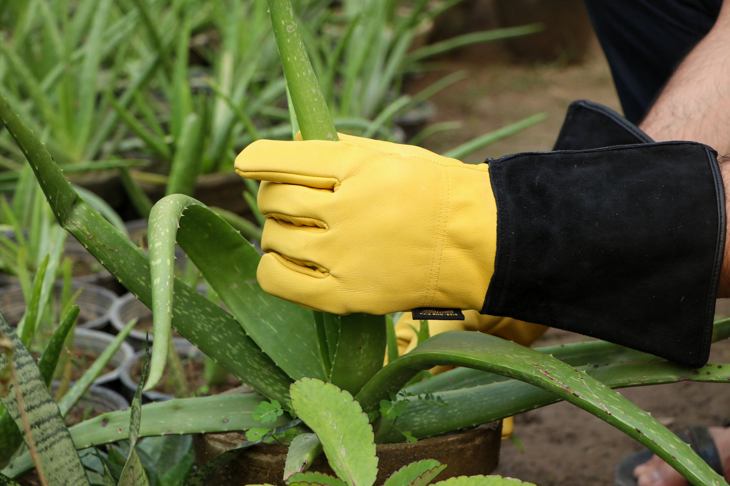 TIGEAR Long Sleeve Working & Gardening Safety Glove | Thornproof