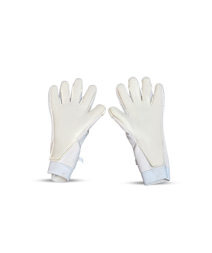 Professional Goalkeeper Gloves in UK